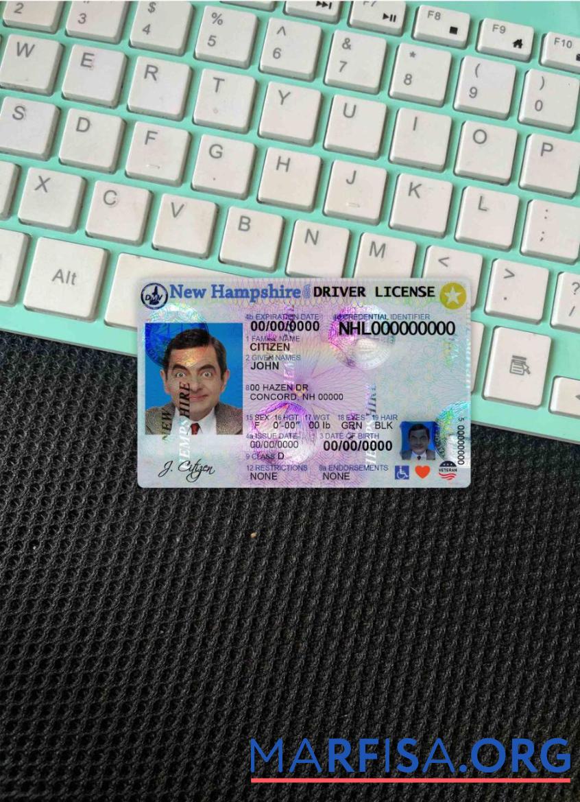 Blank USA New hampshire DL photolook download for verification